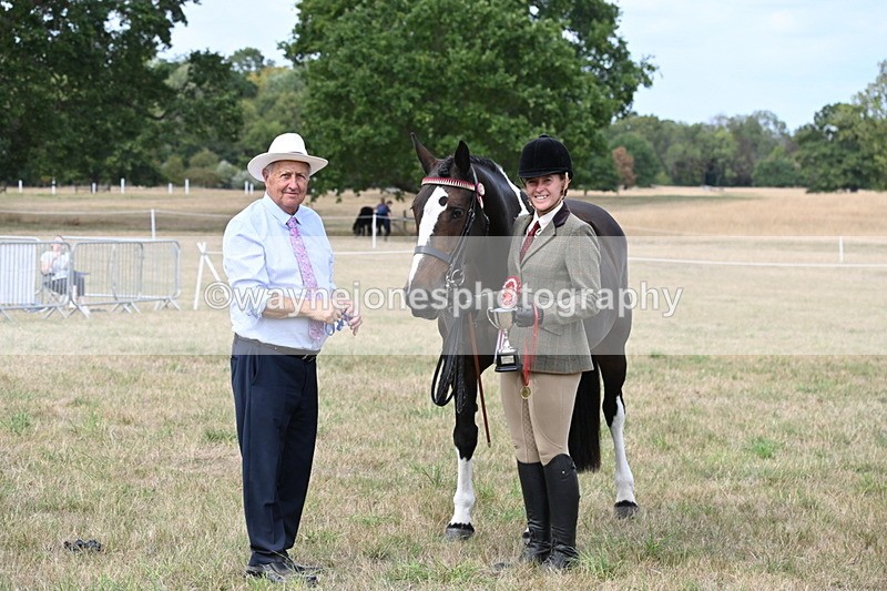 WJ6_6351 - Class 19 In-hand Veterans (Uploaded correct folder)