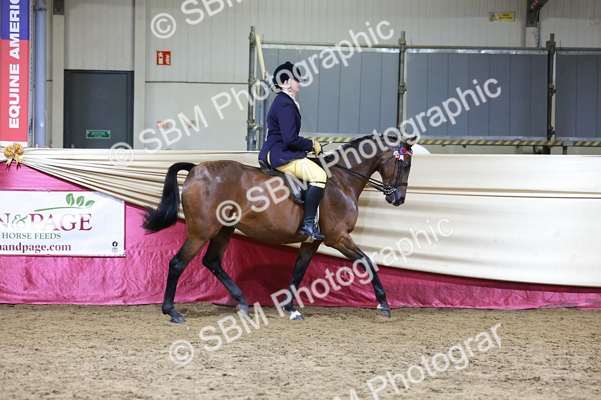 SBM_20558 - Class H - IH Competition - Riding Club champ