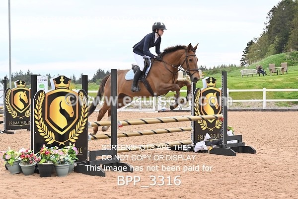 BPP_3316 - CLASS 13 - SAT - SENIOR BRITISH NOVICE / 90CM OPEN