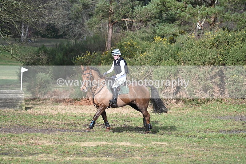 WJ7_6582 - Time 11:11 to 11:38