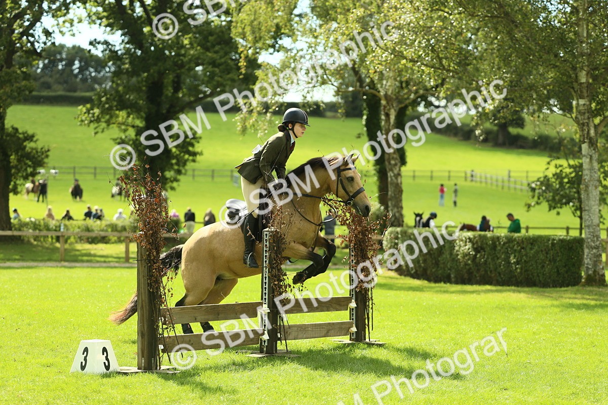 SBM_42853 - S30 - M&M Working hunter Pony