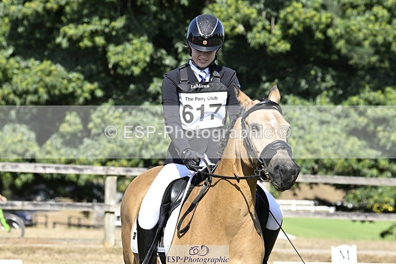 250822A-102542-20233 - DR 10.00 to 11.00