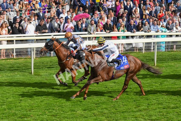 260823-Race 5-Summerghand-Albasheer-0774 - Race 5 Sky Bet Constantine Handicap