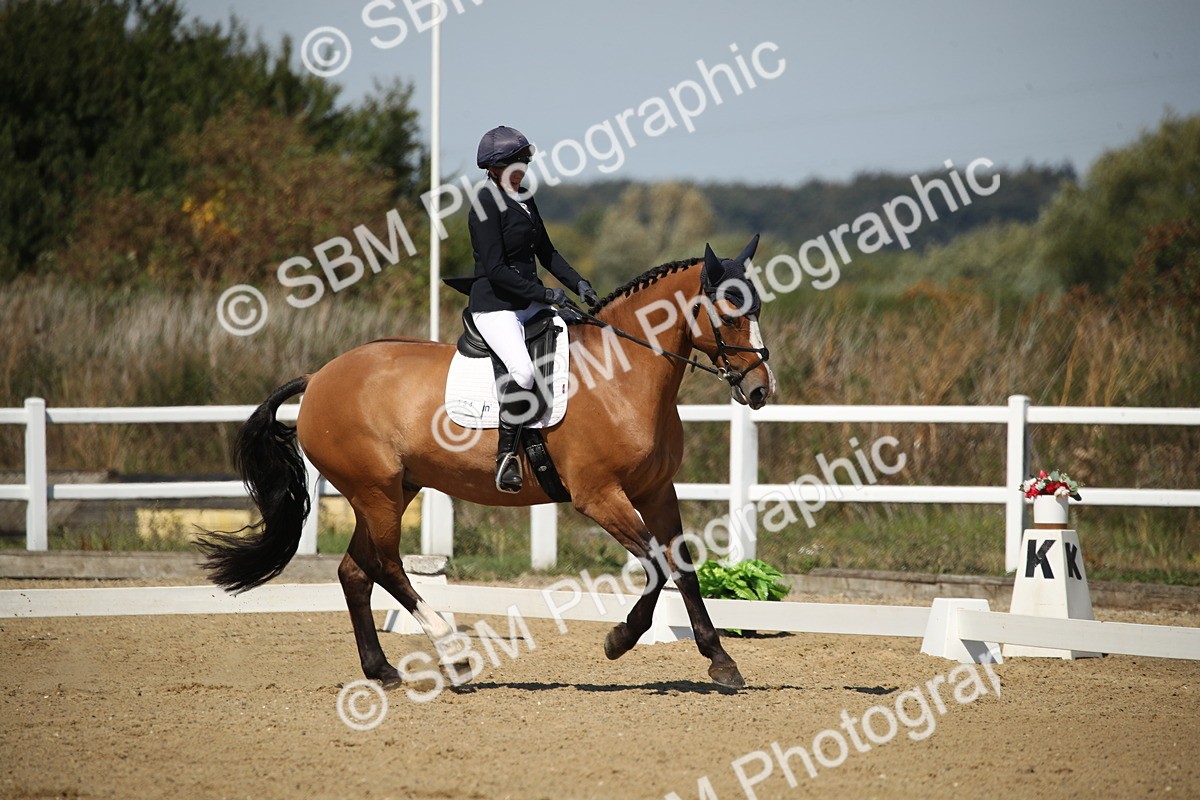 SBM_005013 - Class 11 - Novice 5 - 11.41-12.58