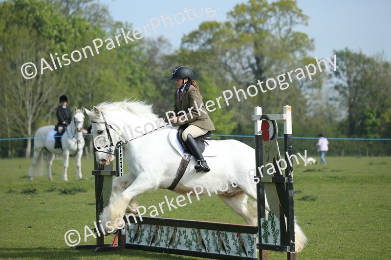 20260426-0141 - Class 13 - Rookie Jumping 50cm