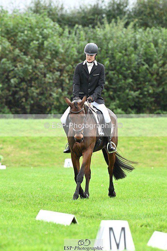 241024-111023-03154 - 504-Harry.Robinson-WHAT.A.WONDER