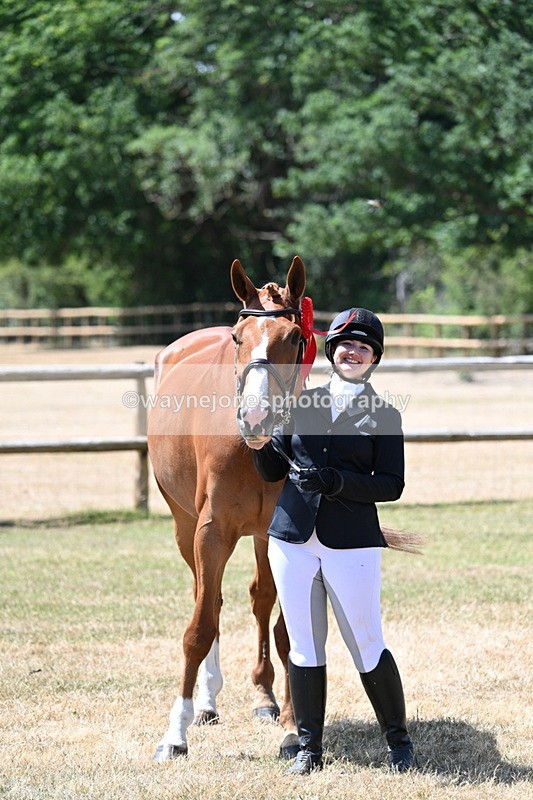 WJ7_2443 - Class 5a Most Handsome Gelding in hand (above 14.2hh)