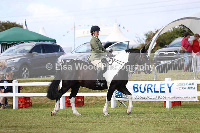 3E7A0140 - Class 6: Rising Star Maxi Cobs