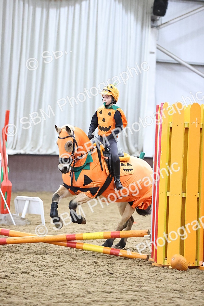 SBM_000542 - Class 2 - Show Jumping 50cm
