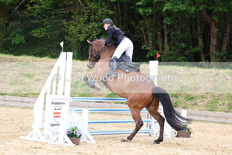 3E7A6056 - Class 4: Senior British Novice/90cm open