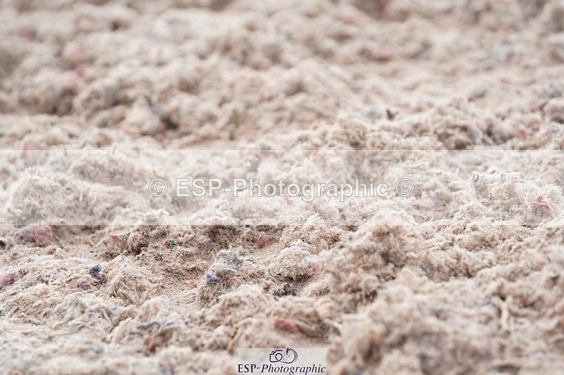 250322-131242-00467 - DR Elementary 2 Test