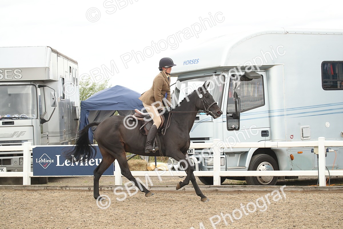 SBM_16847 - Class 507b - Working Veteran 60cm (20+)