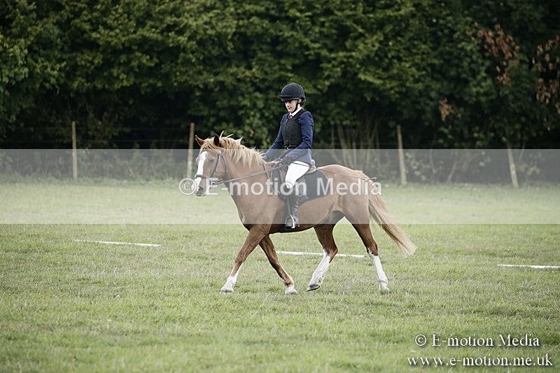 BVR090918 238 - BVRC Dressage and Show Jumping 09/09/18
