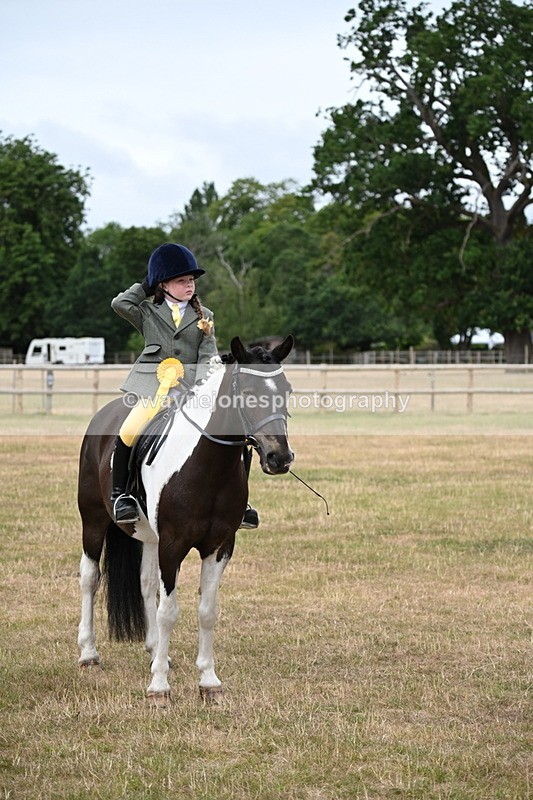 WJ6_4029 - Class 9 Tack & Turnout