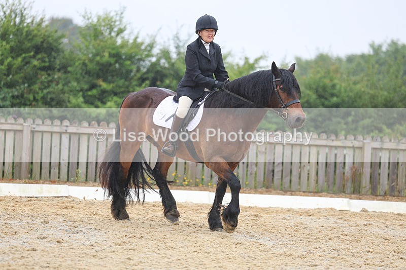 3E7A8463 - Class 2: Intro 3 2024 section B