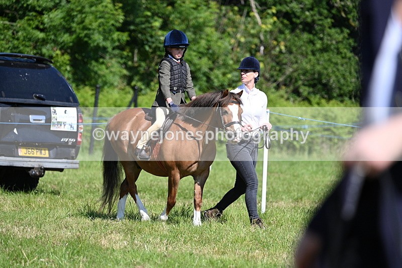 WJ7_0714 - Class 8 First Rally Pony