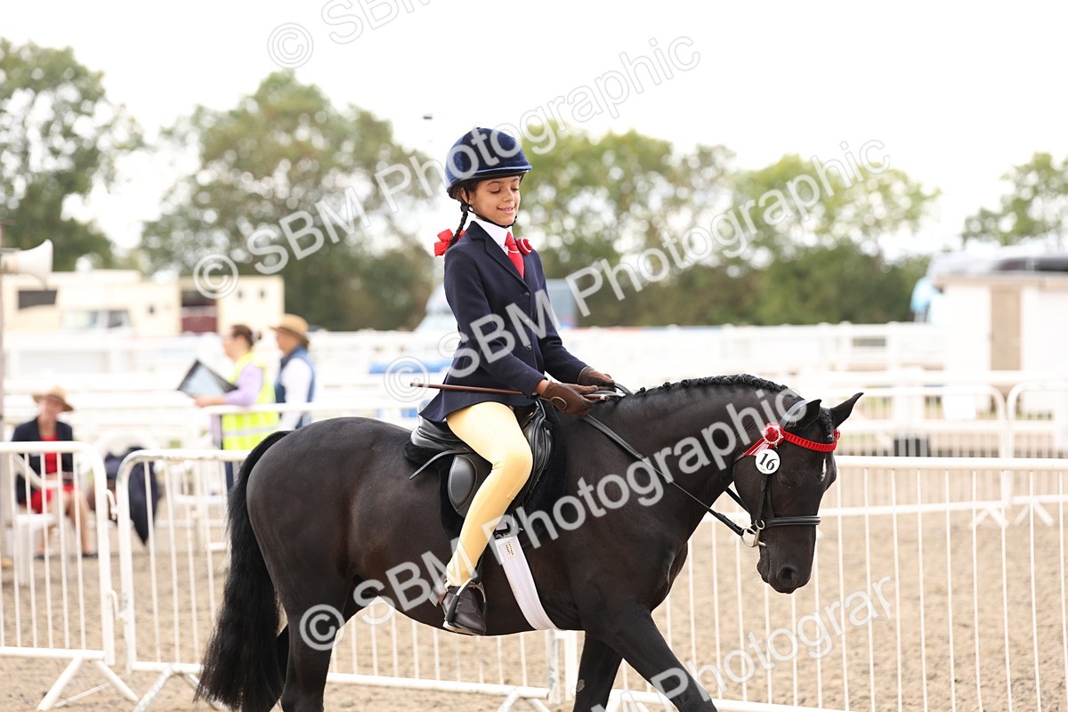 SBM_04178 - Class 54 - Riding Club Horse/Pony