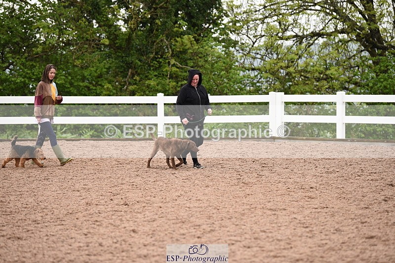 240518A-133726-01323 - Cls 9 Best in Show