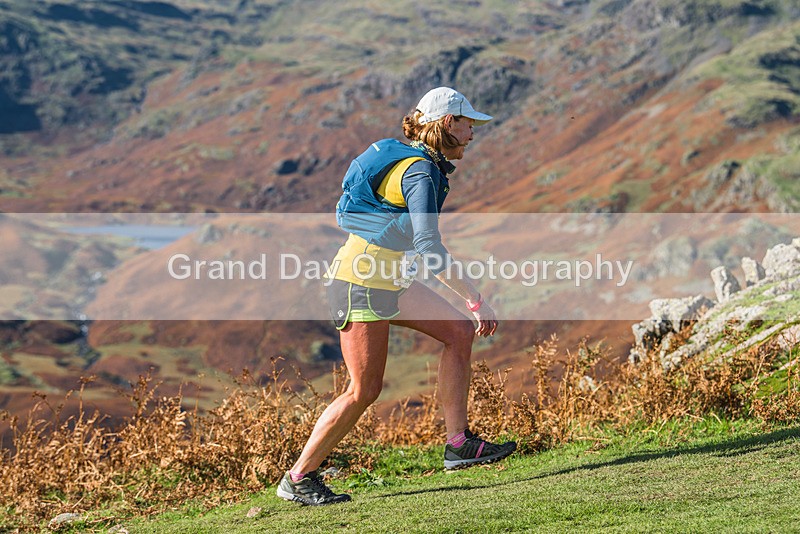Lion  Lamb-236 - The Lion The Lamb and The Crags Fell Race Sunday 15th October 2023