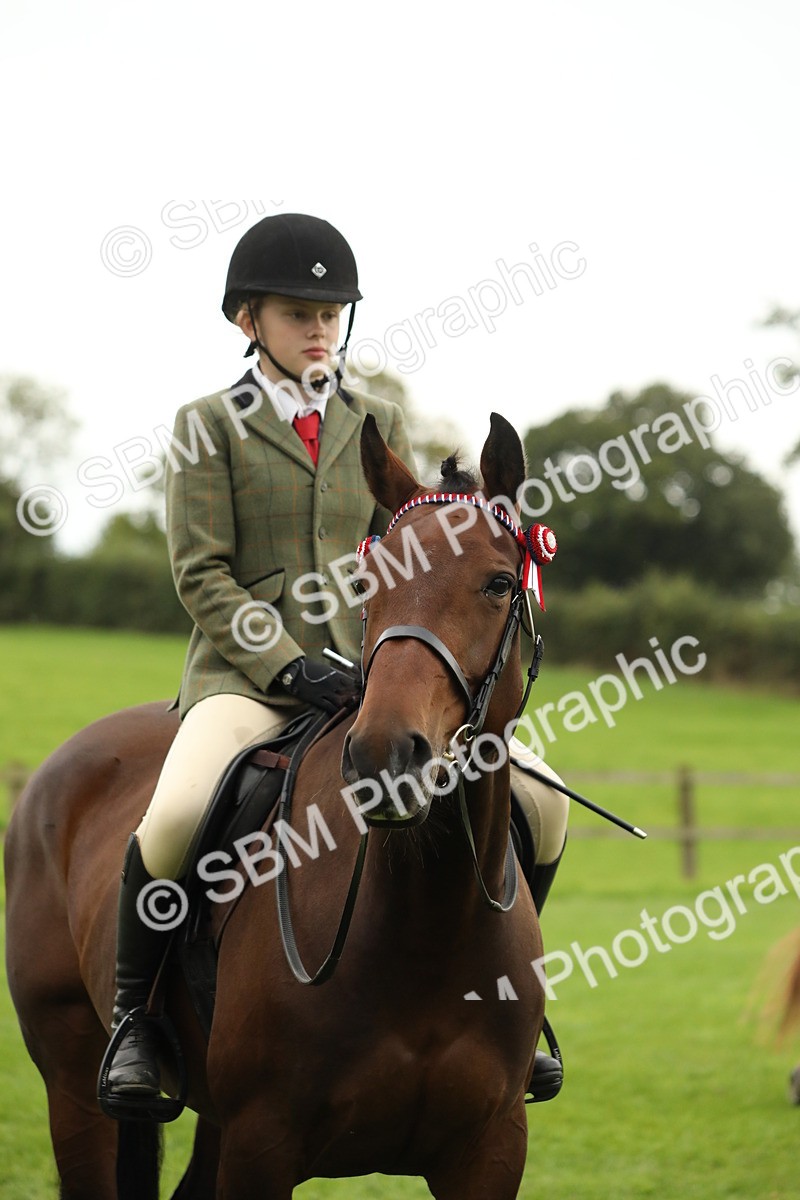 SBM_73824 - S41 - Ridden Equitation (Best Rider)