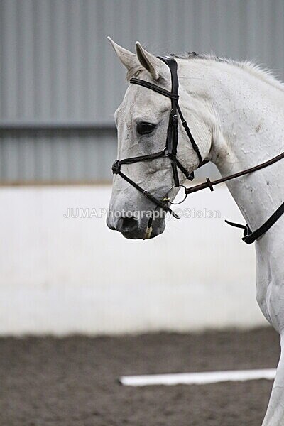 SIAL5746 - CAbin Dressage 5th july 2025