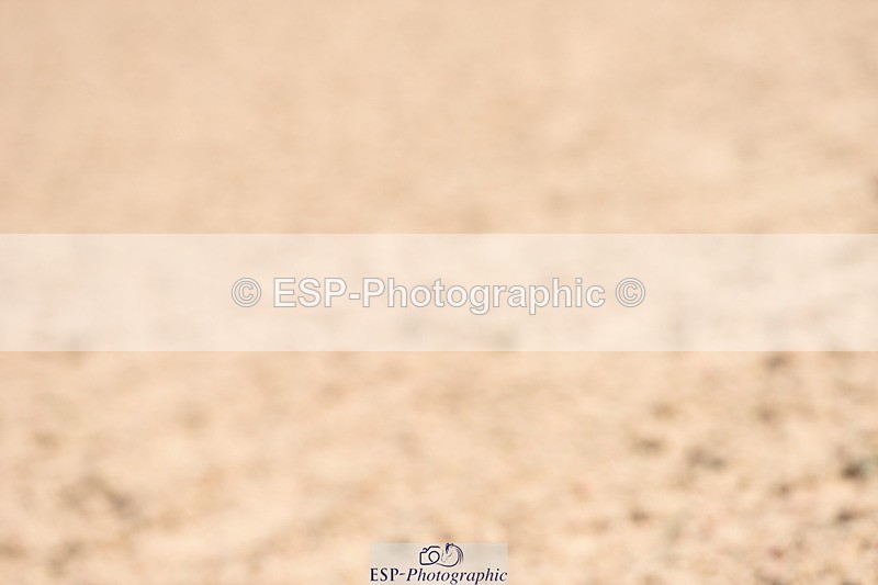 230915A-135008-00596 - Cls 11 Snr Discovery & 1m Open