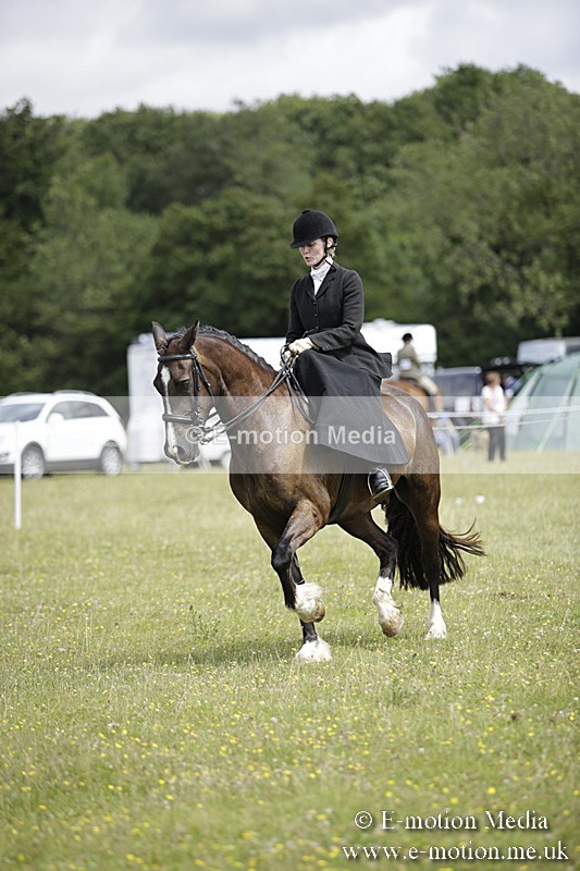 BVR160717-1970 - Side Saddle Classes 16/07/17