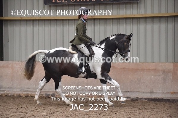 JAC_2273 - CLASS 2 Novice Working Hunter