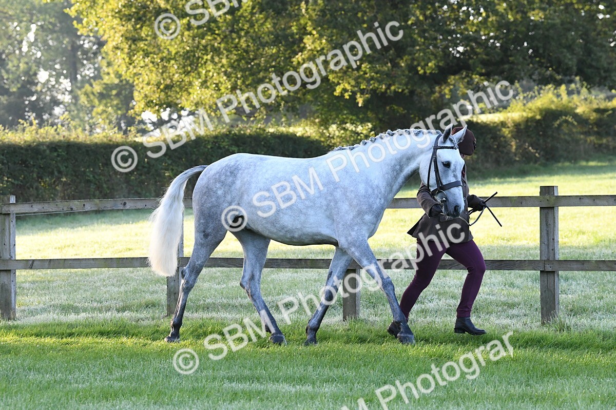 SBM_32591 - S15 - Condition & Turnout In Hand