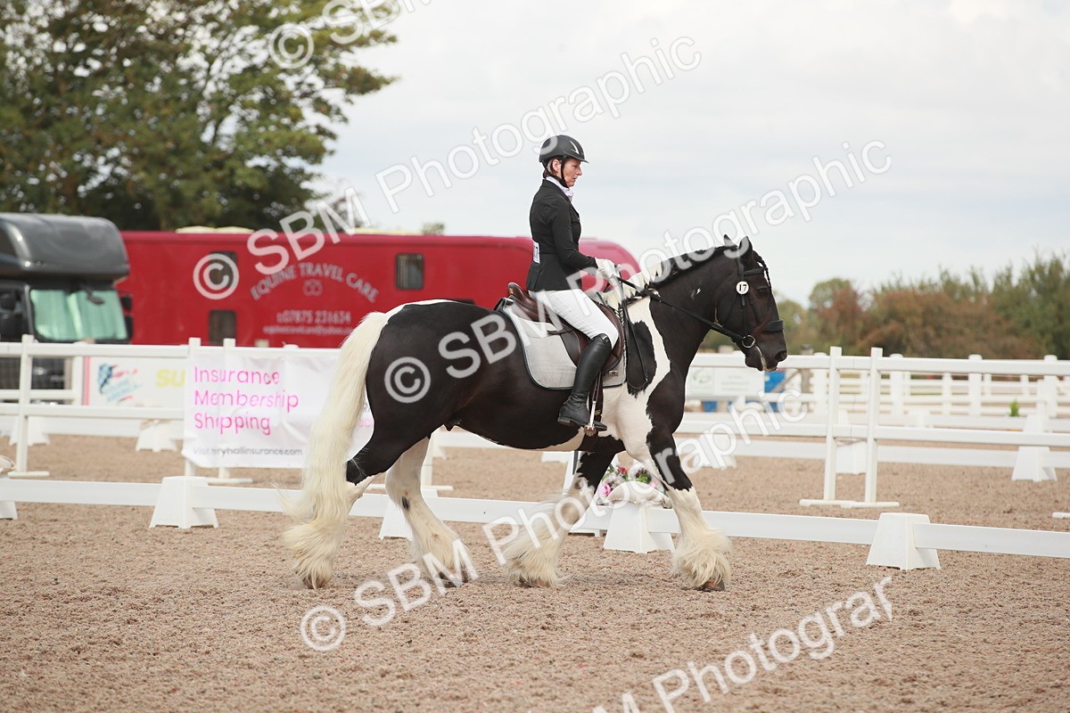 SBM_03815 - Class 31 - Prelim 1