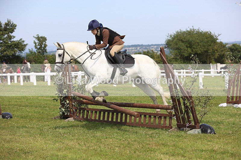 JPP_3608 - Class 23: Working Hunter 80cm