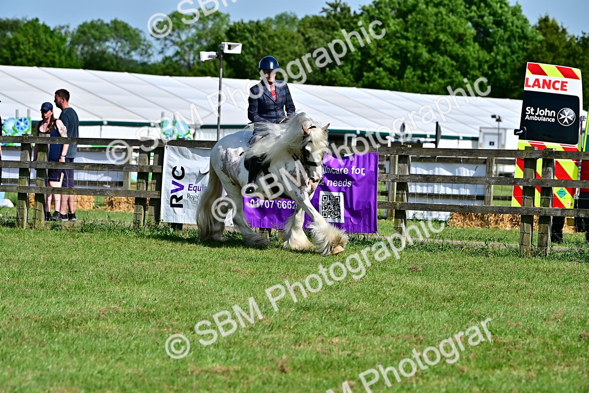 SBM_09387