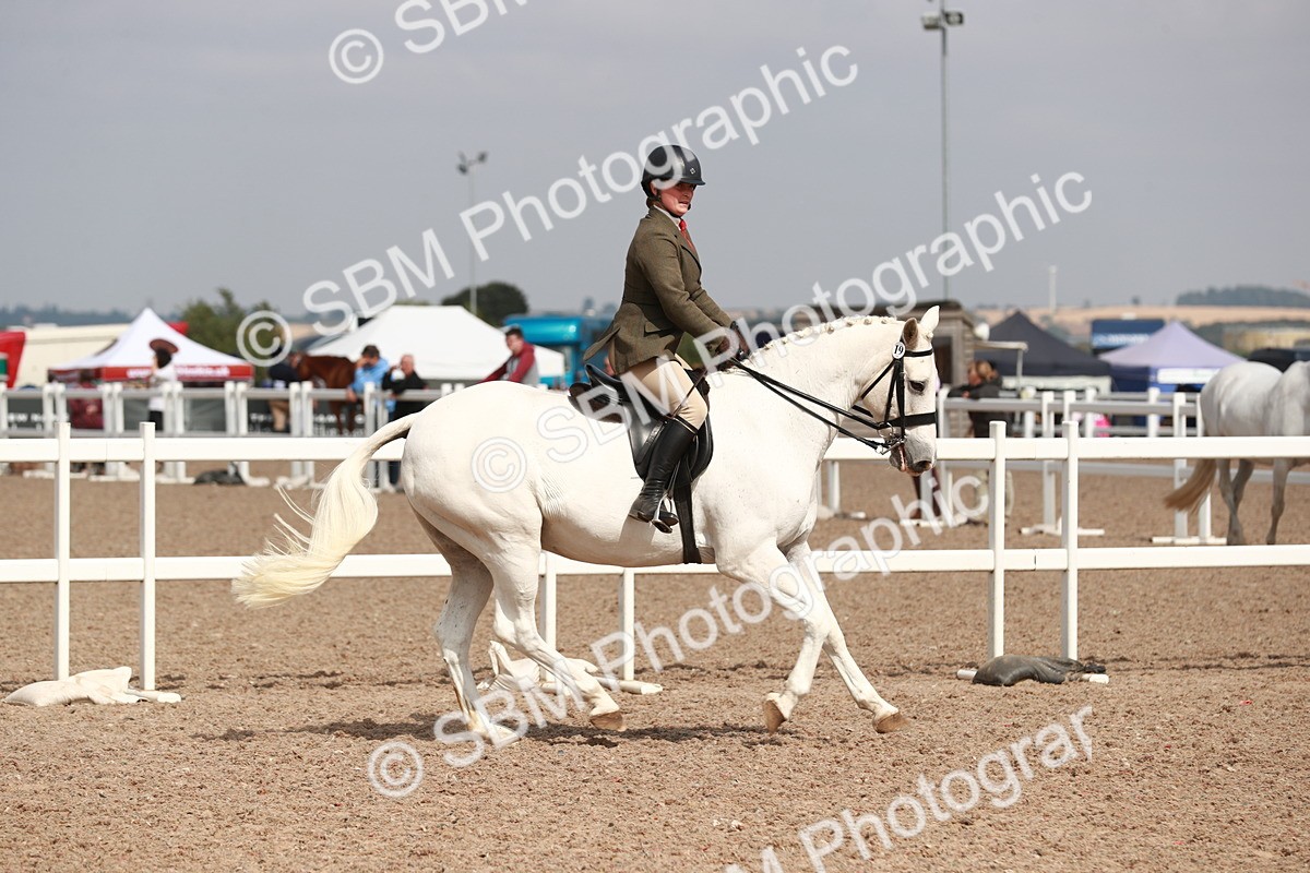 SBM_14833 - Class 212 Ridden Hunter - Small