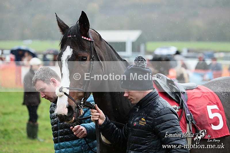 PtP 091125 0236 - Point-to-Point Wales Area Club Lower Machen, Gwent 09/11/25