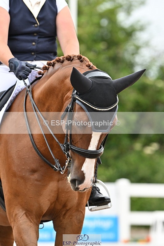 240623A-152558-19589 - Cls 51 BD Elementary 53