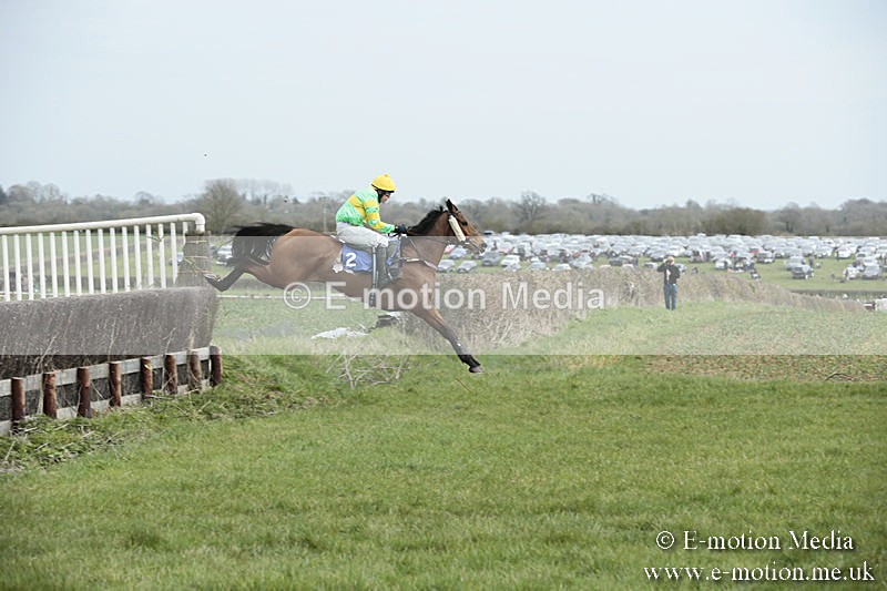 PtP 230319 46 - VWH Hunt Siddington Point-to-Point Racing 23/03/19