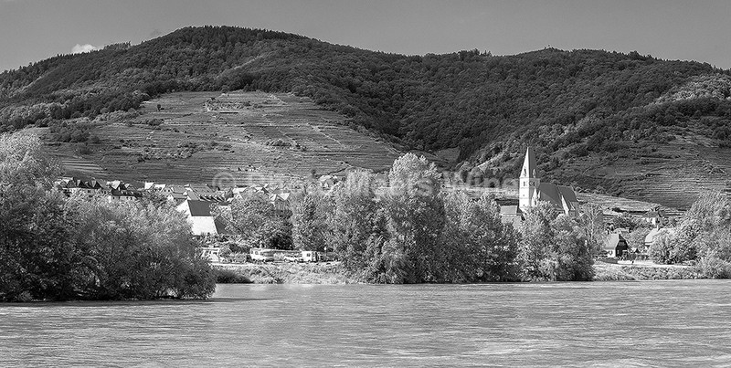  - Vineyards & Vines / Weinberge & Reben