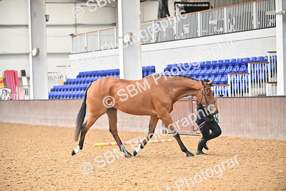 SBM_000266 - Class 7 - ROR Tattersalls In Hand