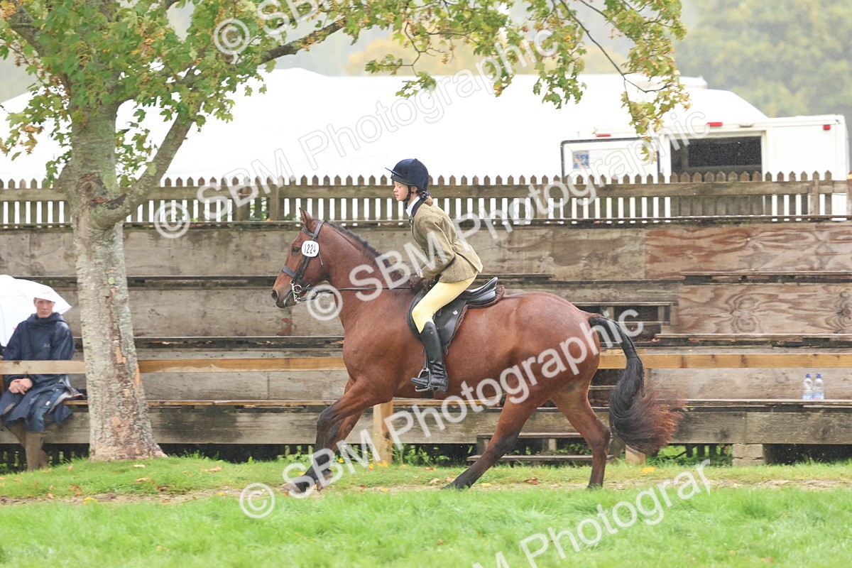 SBM_73018 - S63 Show Pony & Show Hunter Pony Ridden