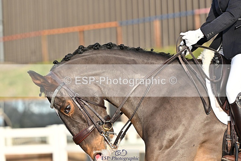 241214-141454-02768 - 153-Sally.Bell-Hilton.VI