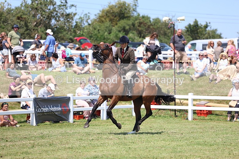 3E7A9332 - Class 12: Open Racehorse to Show Horse