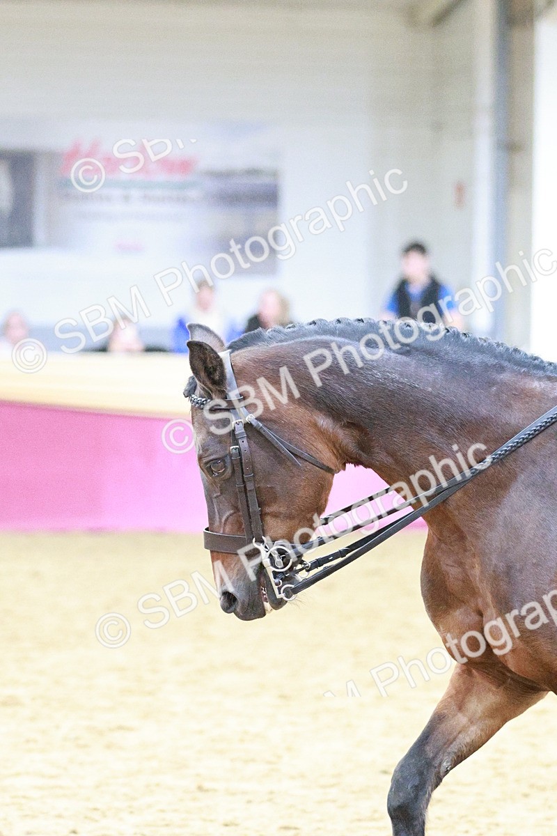 SBM_08230 - Class 11R - Regional Ridden Veteran