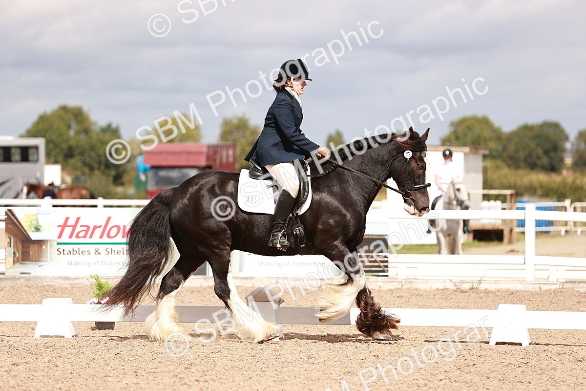 SBM_06205 - Class 37 - Novice 5