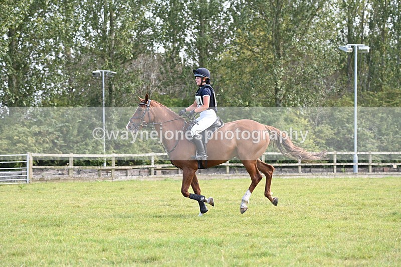 WJ6_2800 - 80cm XC Time 15:07 to 15:25