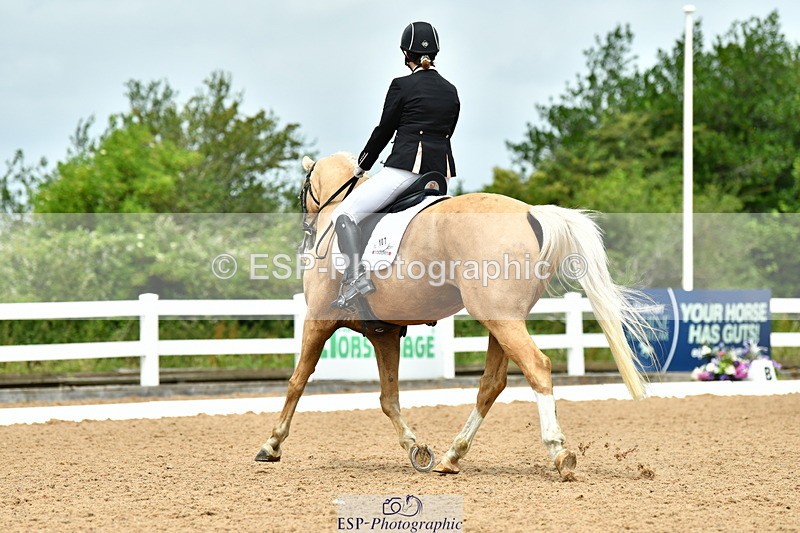 230702A-121803-09588 - Cls 28 Elementary 45