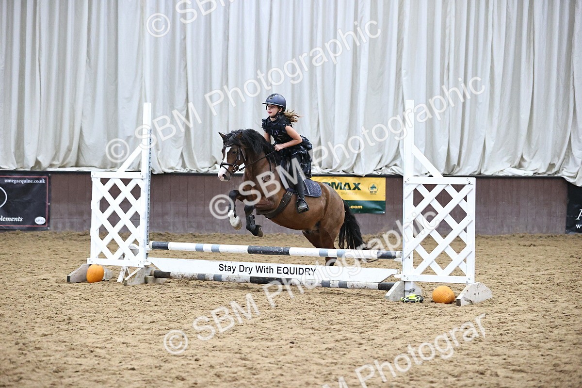 SBM_001218 - Class 3 - Horse & Hound 60cm