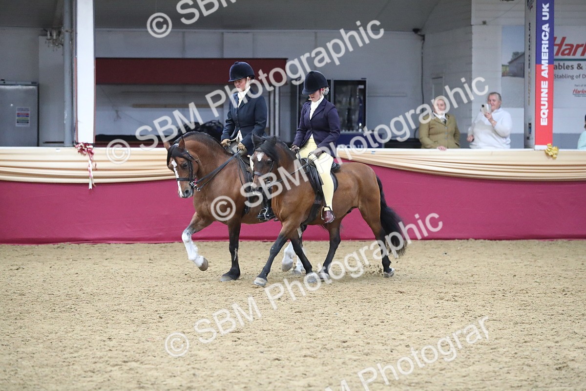 SBM_13697 - Class 109 Ridden Pairs - Section B