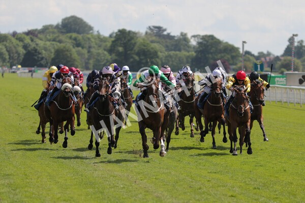 yr11062021r3-16 - Race 3 2.55pm SKF Rous Selling Stakes