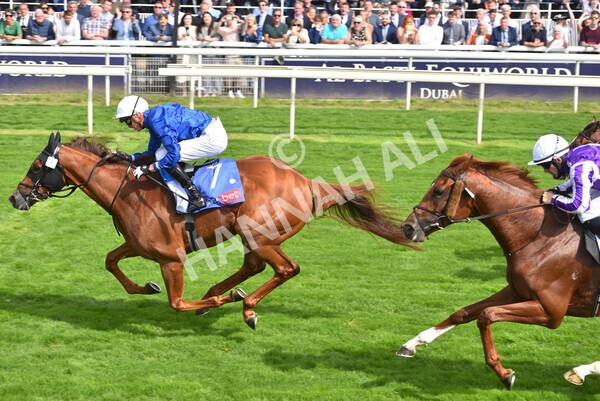 yr18082021r3-80 - Race 3 3.00pm Sky Bet Great Voltigeur Stakes