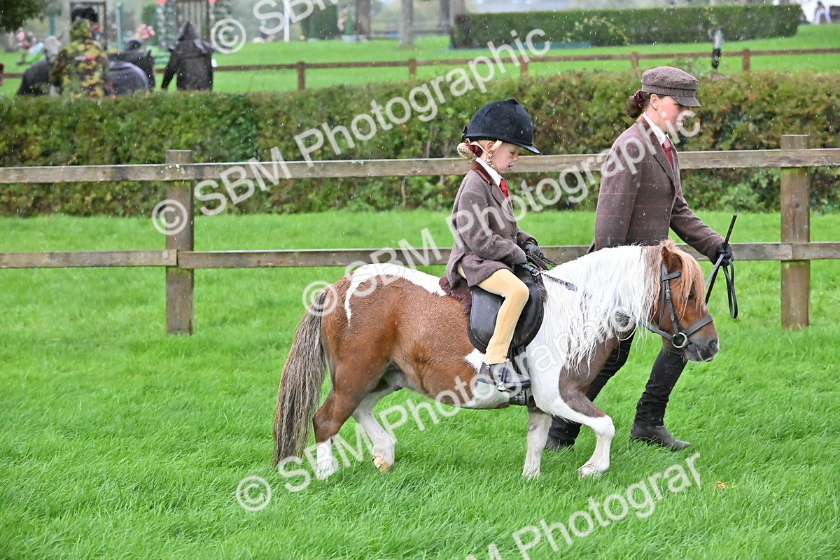 SBM_36459 - S18 - Novice & Newcomer Lead Rein Pony